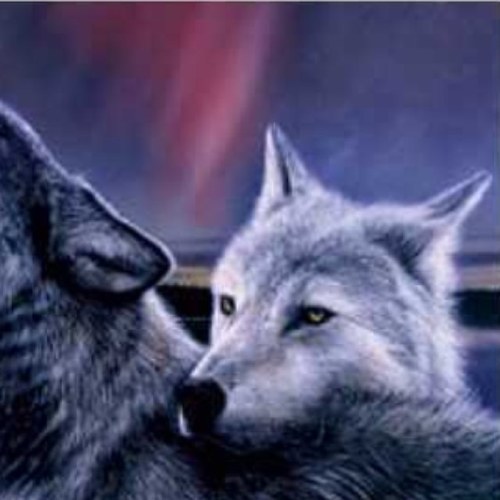 LetsKry's profile picture. Guy Gamer, Aquarius, Sushi, Filipino, Wolves, Graduated from Uni! :D