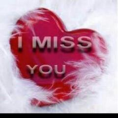 Nieuwe liefdesTwitter account, Engels twitt , Dutch twitt, volg de nieuwe liefdes Twitter en we zullen jou snel terug volgen,,