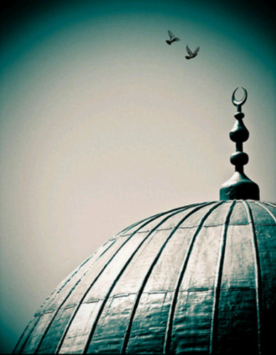 A new account for reading and learinig more about islam