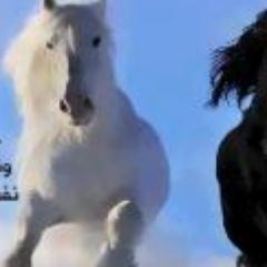 malek2018's profile picture. اللهم أنصر خيري على شري  ونفسي اللوامة على نفسي الأمارة بالسوء