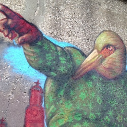 Virginia Dan (JardinMariposas) Twitter