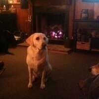 Jack Atkins (@flcf) 's Twitter Profile