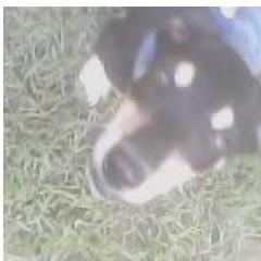 David2Cristian's profile picture. QUIERO Q ME SIGAN PARA YO SEGUIRLOS A USTEDES..... ..................................
OK