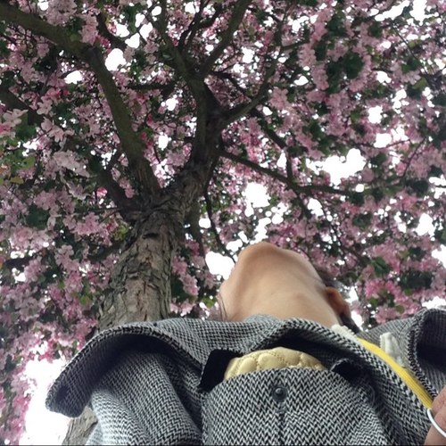 Charannellie's profile picture. 