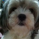 Jacklyn Lee - @jacklynlee63 - Twitter