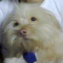 Nahir Ortiz - @nahir1718 - Twitter