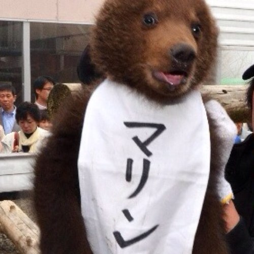 六本木一丁目勤めに変わりました。オムニバスとせいけい