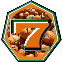 Home grown mini pumpkins and gourds. Grown locally on a small farm, these pumpkins and gourds are the best quality and great for fall decorations!