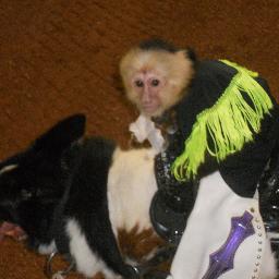 CraigHoneycutt1's profile picture. 