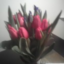 Ebony Simpson - @ebony_simpson - Twitter