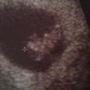 Amanda Wetzel - @wetzel_amanda - Twitter