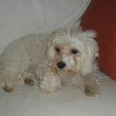 Irene Casanova - @Irene895 - Twitter