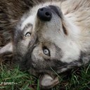 Katrina bolin - @trinakat45 - Twitter