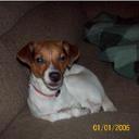 Pam Shultz - @PamShultz1 - Twitter