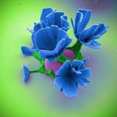 Being fully conscious, yet without thoughts, is like sleep, but yet being awake.-Remez Sasson