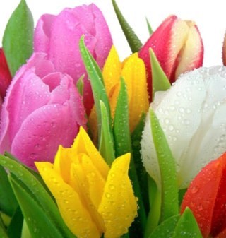 2boys4me's profile picture. 