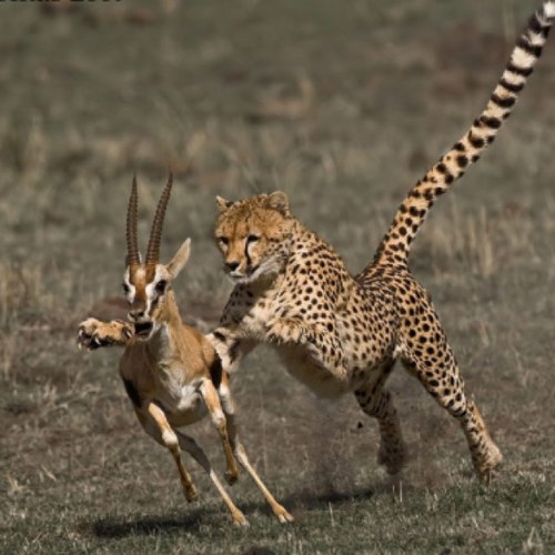 facts_ass's profile picture. 