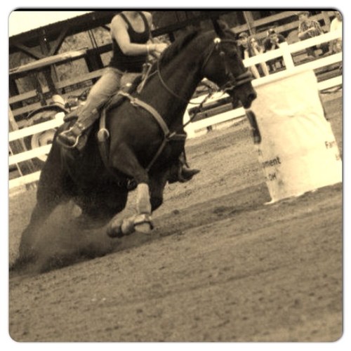 SassyBarrelRacr's profile picture. Avi is me. Horses, dogs and my husband are my life. Barrel racing is my passion. Country girl #tattoos #chevrolet #duramax #johndeere