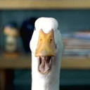 Jon Tuttle - @MarionetteDick - Twitter