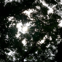 isgraph's profile picture. 