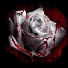#EvanesceneFans| @amyLeeEV lovers | #IFollowBack| Native Sabahan| Tawau