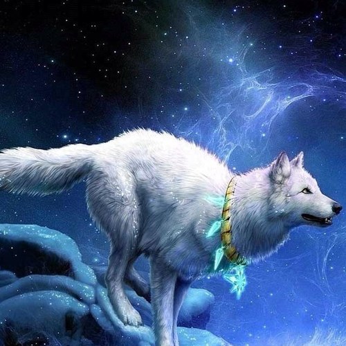 ليسا هناك احد يعرفني. المملكه العربيه السعوديه