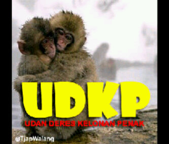 boyo_pawang's profile picture. ada aja lah