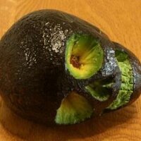 Yoshi okai (@yoshiokai) 's Twitter Profile