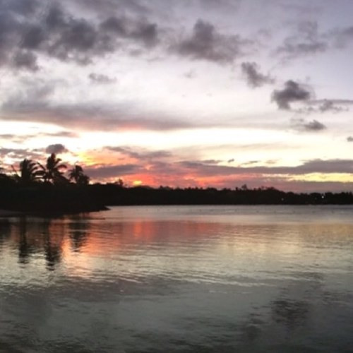 GengtaoChen's profile picture. 