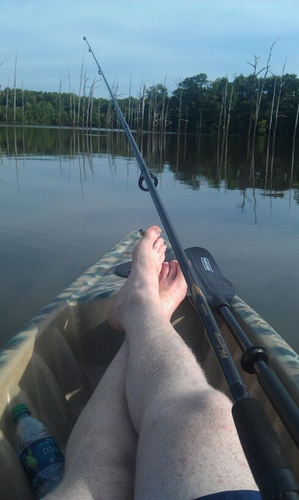 thegingersnap88's profile picture. 