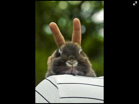 Jaan1801's profile picture. ∞✗A♡