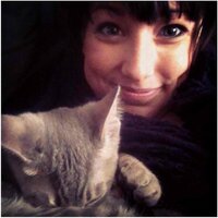 Ally Venable (@allyfeathers) 's Twitter Profile
