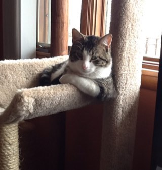 joewray8's profile picture. 