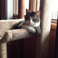 J'aurai (@joewray8) 's Twitter Profile