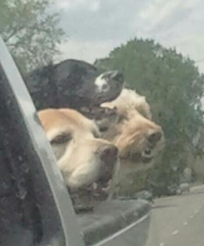 sandpyre's profile picture. 