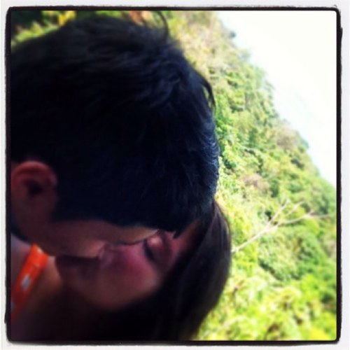 New twitter