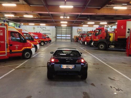 totor_la_girafe's profile picture. Le pote relou un peu genant mais qui vient aux demenagements