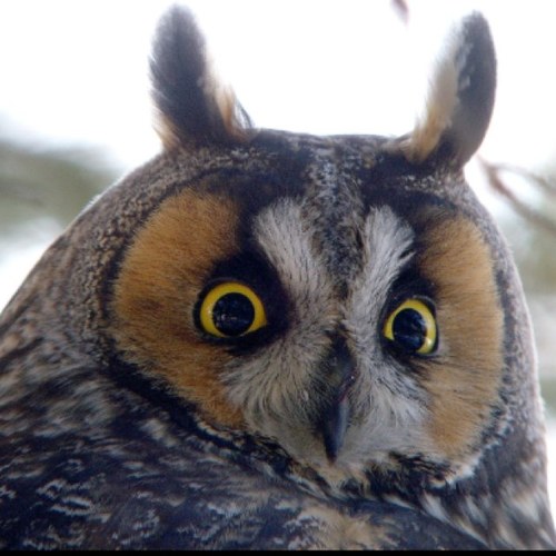 bird_mervyn94's profile picture. http://t.co/vbzZtsjkzh

@bird_mervyn94: Try new apps and get free gift cards with @AppBounty http://t.co/XXrzrIgkJh use my code for a bonus: dsanqxc