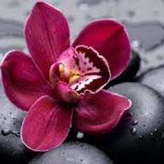 Just as the body cannot exist without blood, so the soul needs the matchless and pure strength of faith. - Mahatma Gandhi