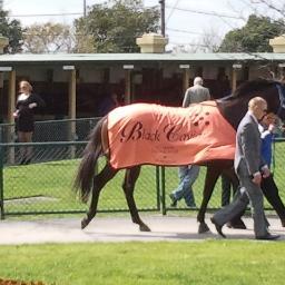 arachnid64's profile picture. 