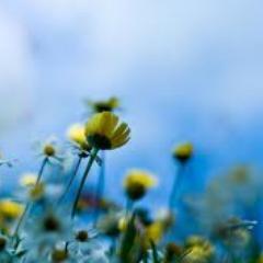 It is impossible to seek for pleasure through the body and not find pain.-A Course in Miracles