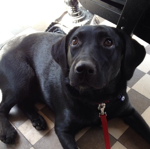 lolalinananesi's profile picture. 