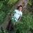 dauletkhamzin's profile image