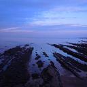 Colette Davidson - @DavidsonColette - Twitter