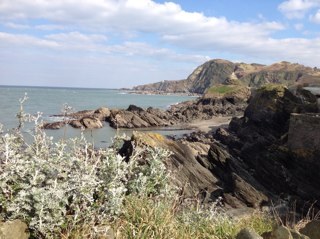 firestonefarm's profile picture. 