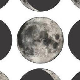 cecile64051385's profile picture. 