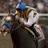 iHandicapHorses