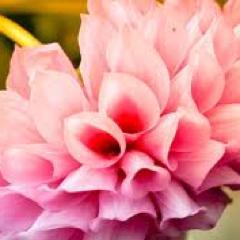 Meditation is the life of the soul: Action, the soul of meditation. and honor the reward of action.-Francis Quarles