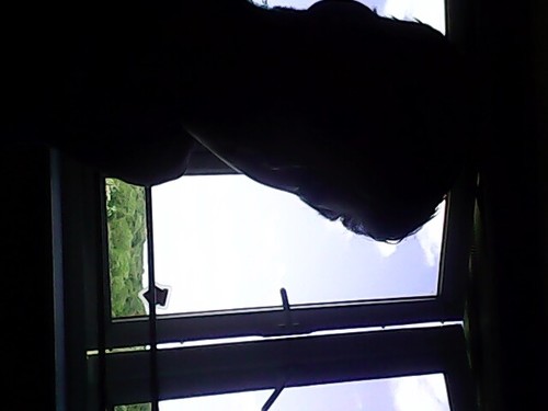 Ewangc29's profile picture. Fan of Watford FC, that's about it