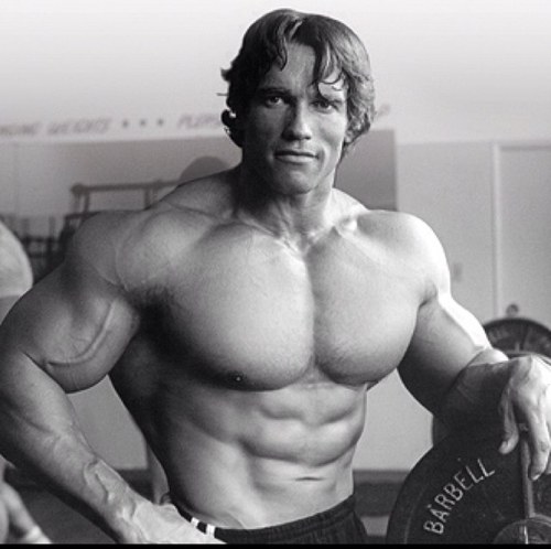 JR13029's profile picture. Free protein from @TheProteinWorks. Just sign up, spend £10 & it'll sort itself. https://t.co/Kufp8Dvt2z